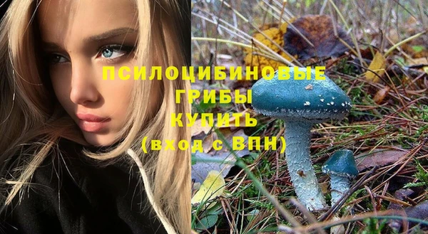 ПСИЛОЦИБИНОВЫЕ ГРИБЫ Бородино